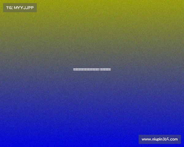 阿森纳旧将帕尔特伊自由转会加盟黄潜 与球队签约一年